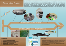 Project infographic