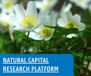 Natural Capital Platform
