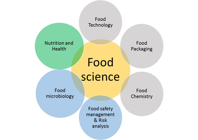 foodscience_diagram-png