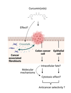 Curcumin-derived Functionalized Thiazepanes to Selectively Target Colon Cancer Cells