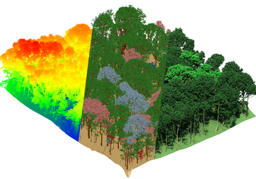 Seminar forest radiative transfer modelling (large view)