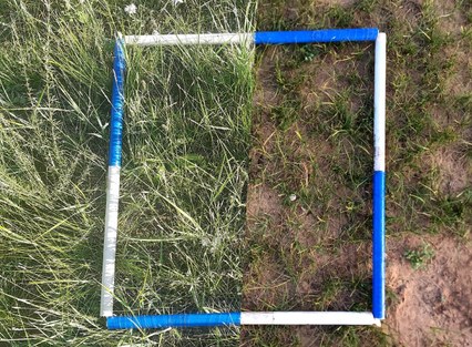 Comparison between grassland sites affected by overgrazing and climate change at the local scales of the semi-arid steppe. The right-side soil on the picture has lost more than 50% of its SOC between 1983 and 2018.