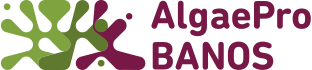 Apb logo