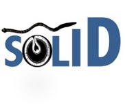 Logo SOLID