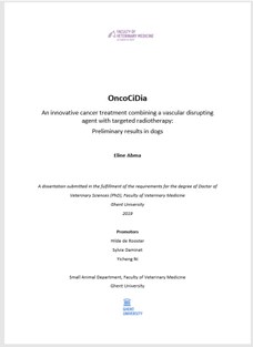 Doctoraat Thesis E Abma