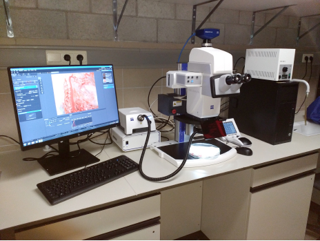 Image of Stereo Fluorescence Microscope