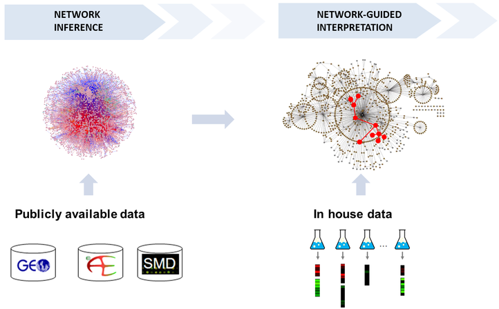 Molecular interaction networks are a comprehensive and intuitive way of representing known molecular interactions on an organism of interest. As they are inferred from noisy information they rarely represent biological truth, but they are useful as a scaffold for the interpretation and integration of dedicated datasets. We have successfully applied integrative network-based models in the context of cancer driver identification and subtyping, to study the molecular forces that drive bacterial community behavior and for eQTL analysis.