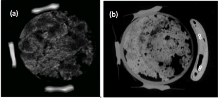 Figure 1: (a) MR (T2-weighted) and (b) CT image of lung phantom