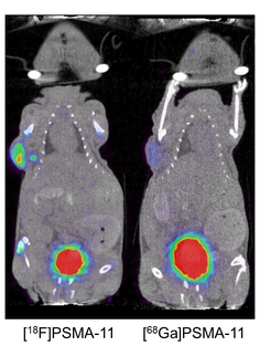 FvsGa1.png FvsGa1.png