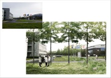 Campus Ardoyen: bomenlandschap oostzijde van de campus (impressiebeeld)