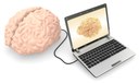 Brein met computer