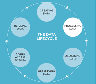 Data Lifecycle