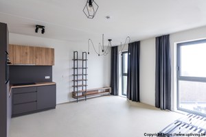 Studio - kitchenette, planken & raam