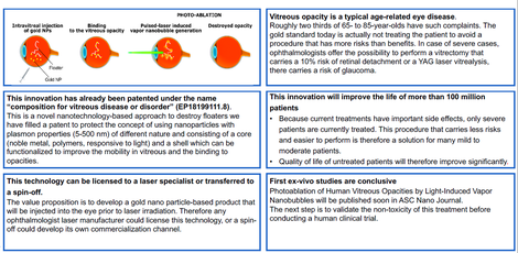 Photo-ablation of human vitreous opacities by light induced vapor nanobubbles