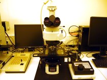 Nikon Eclipse LV100 Inspection Microscope