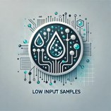 Low Input Samples Low Input Samples