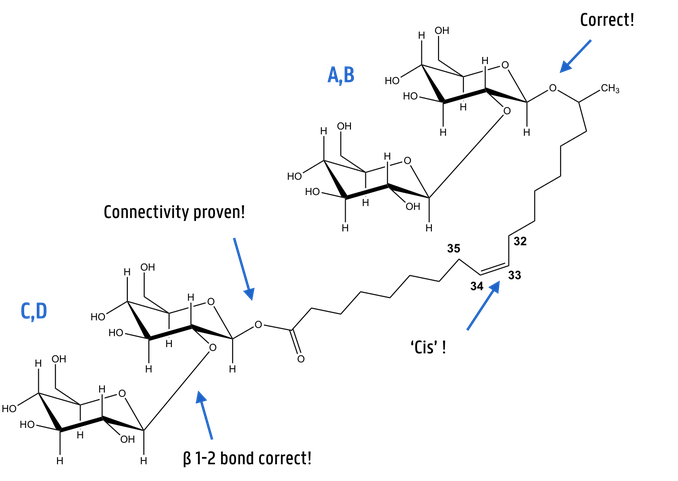 Final structure of the bolaform surfactant as shown in the NMR analysis