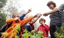 Sustainability Education Research