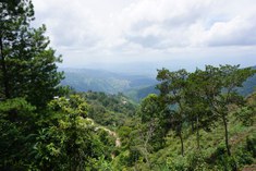 Parque Nacional Cusuco (Honduras)