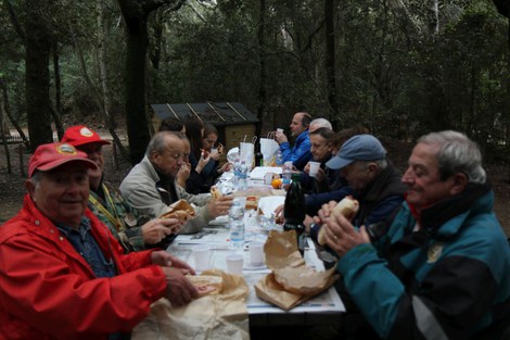 Picnic after collecting in Mediterranean forest (Tuscany, Italy)