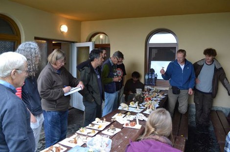 Discussion around the table where the findings of the day are exposed (Slovakia, 2014)