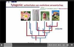 Weblecture Wim Bert - Fylogenie