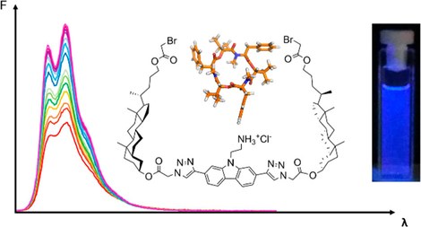 Development of a Synthetic Receptor for the Food Toxin Beauvericin : a tale of carbazole and steroids