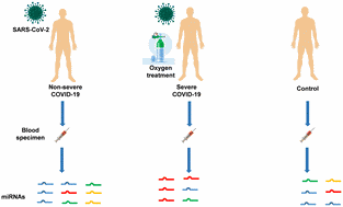 Host miRNAs as biomarkers of SARS-CoV-2 infection: a critical review