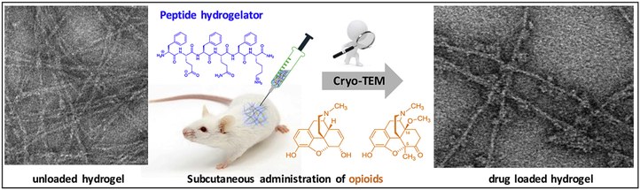Injectable peptide-based hydrogel formulations for the extended in vivo release of opioids