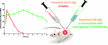 Injectable peptide hydrogels for controlled-release of opioids