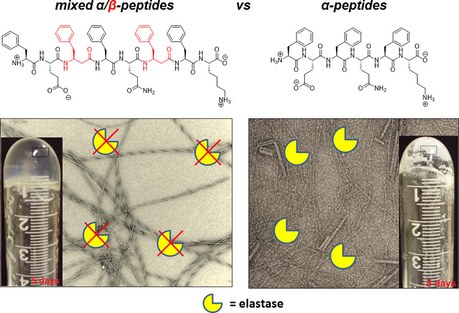Mixed αβ-Peptides as a Class of Short Amphipathic Peptide hydrogelators with enhanced proteolytic stability