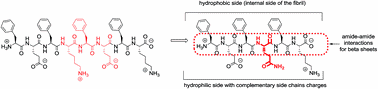 Rational design of a hexapeptide hydrogelator for controlled-release drug delivery