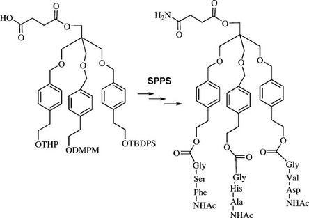 Solid-Supported Synthesis of Highly Functionalized Tripodal Peptides with Flexible but Preorganized Geometry: Towards Potential Serine Protease Mimics
