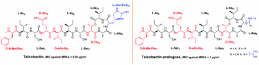 Syntheses of potent teixobactin analogues against methicillin-resistant Staphylococcus aureus (MRSA) through the replacement of L-allo-enduracididine with its isosteres