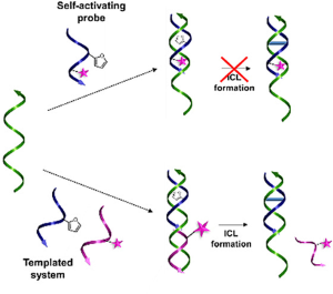 Templated DNA Cross-Linking Towards a Non-Invasive Singlet-Oxygen-Based Triggering Method