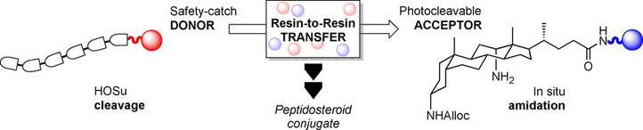 Untapped Opportunities of Resin-to-Resin Transfer Reactions (RRTR) for the Convergent Assembly of Multivalent Peptide Conjugates
