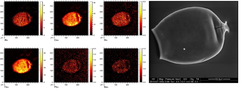 High-resolution chemical analysis of plantonic eggs dating back some 415 million years leads to novel insights into the causal mechanisms of mass extinction events (Vandenbroucke et al. 2015 Nature Comms, doi: 10.1038/ncomms8966).